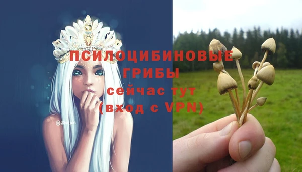 mdpv Заволжск