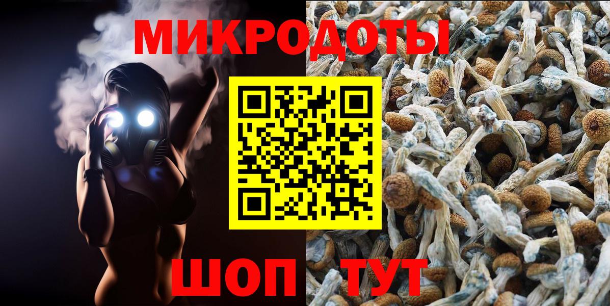 Псилоцибиновые грибы мицелий Ивантеевка