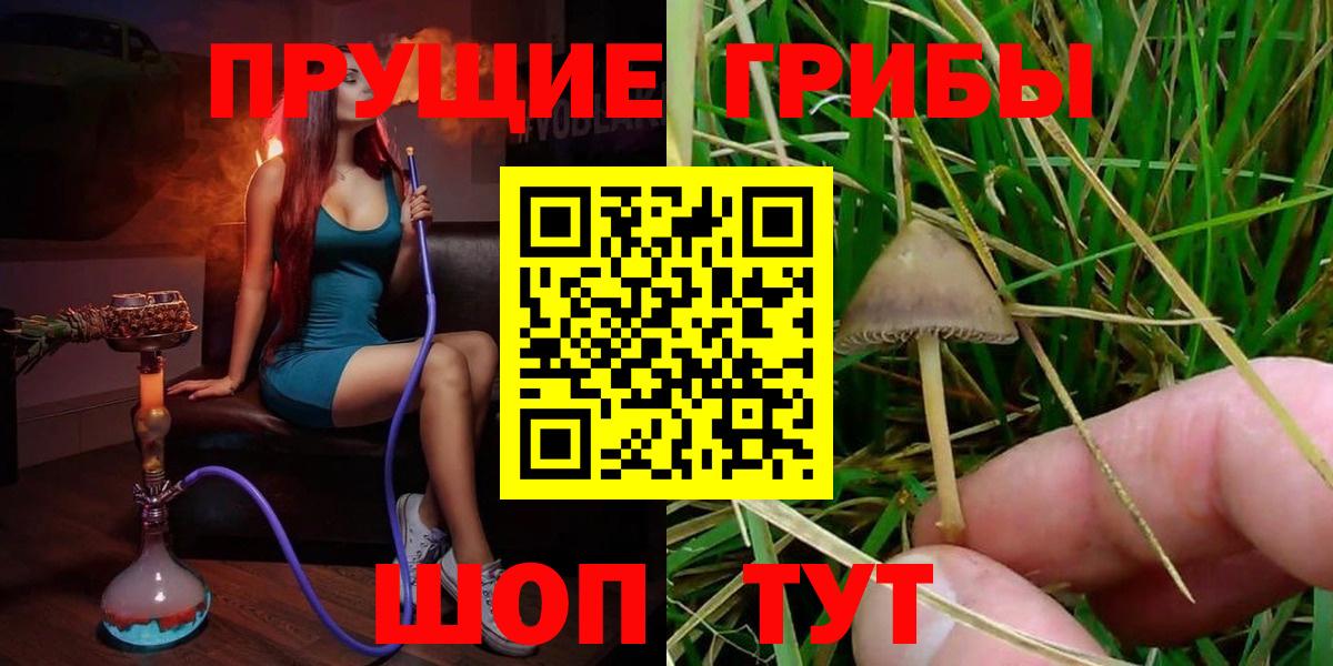 Псилоцибиновые грибы ЛСД  Вход с VPN  Ивантеевка 